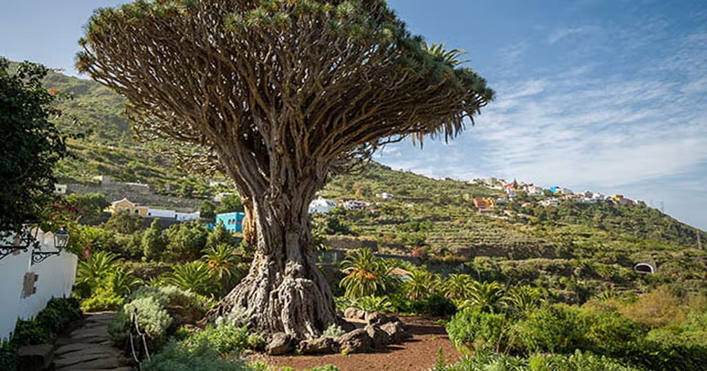 Landschaftlich reizvolle Motorradroute: Vom Teide nach Masca