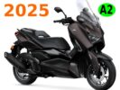 rent scooter Los Gigantes